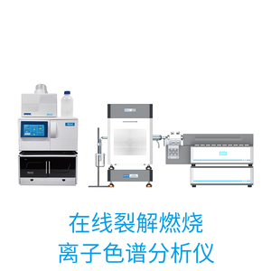 CIC-2000在线裂解燃烧离子色谱分析仪